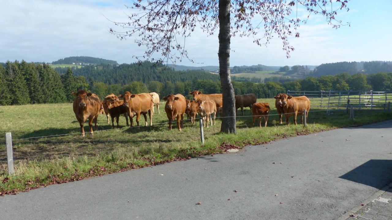 Aussichtsbauernhofpension Hof Gretchens วินเทอร์แบร์ก ภายนอก รูปภาพ