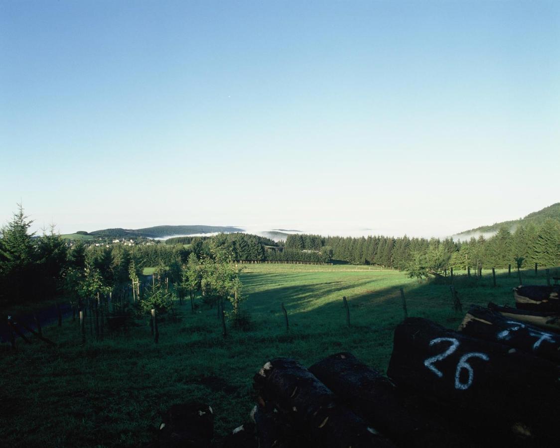 Aussichtsbauernhofpension Hof Gretchens วินเทอร์แบร์ก ภายนอก รูปภาพ