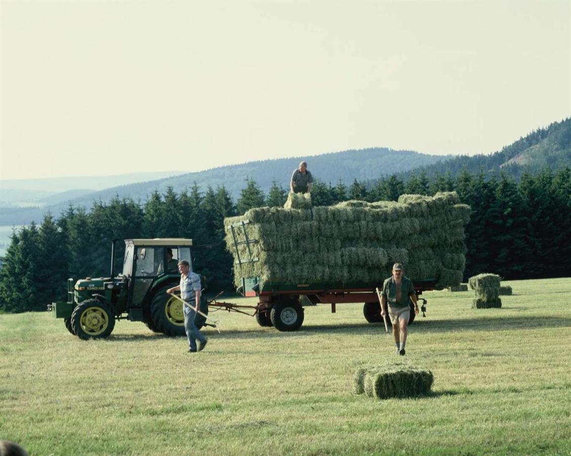 Aussichtsbauernhofpension Hof Gretchens วินเทอร์แบร์ก ภายนอก รูปภาพ