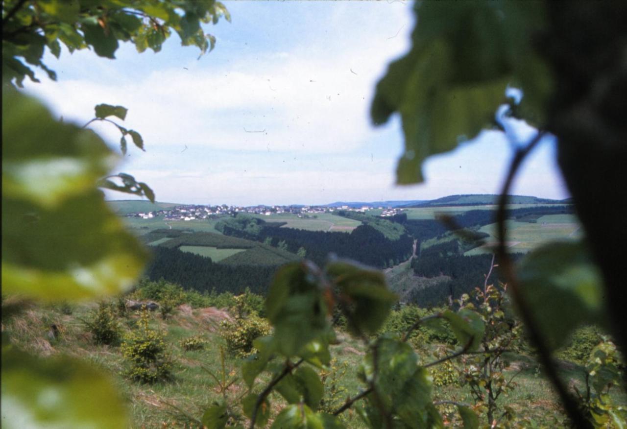 Aussichtsbauernhofpension Hof Gretchens วินเทอร์แบร์ก ภายนอก รูปภาพ